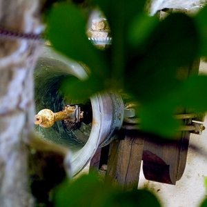UNe cloche vue du dessous à moitié cachée par des feuillages, un nid d'insecte y est installé - France  - collection de photos clin d'oeil, catégorie clindoeil